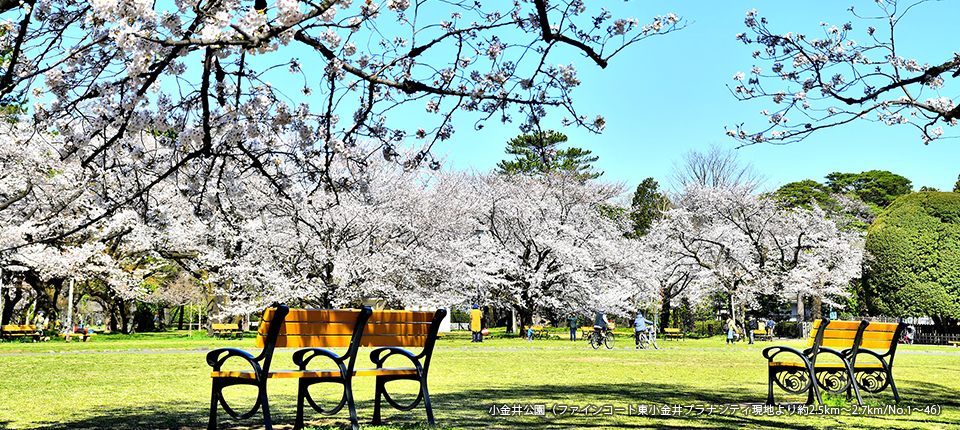 小金井公園